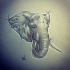 Sad grey drawn elephant head tattoo design
