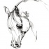 Sad white crying horse tattoo design