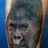 severo inchiostro nero testa di gorilla tatuaggio su braccio