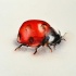 Shy brightly watercolor ladybug tattoo design