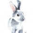 Shy grey watercolor rabbit tattoo design