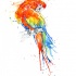 Shy watercolor sitting parrot tattoo design
