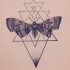 Simgle grey-ink moth on geometric background tattoo design