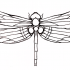 Simple big outline dragonfly tattoo design