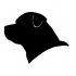 Simple black-ink rottweiler head in profile tattoo design