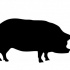 Simple fat full-black pig silhouette tattoo design