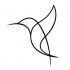Simple line hummingbird without eyes tattoo design