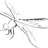 Simple outline flying dragonfly tattoo design