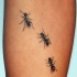 Tatuaje  de hormigas negras volumétricas