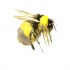 Single black-and-yellow watercrolor flying bee tattoo design