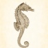 Single brown seahorse tattoo design