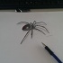 Small drawn black widow spider tattoo design