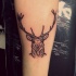 Tatuaje en el antebrazo,
ciervo joven bonito