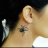 Tatuaggio realistico 3D sulla gola il ragno