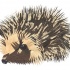 Spiny hedgehog in brown colors tattoo design