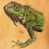 Splendid realistic grey lizard tattoo design