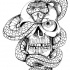 Square-scaled snake and skull by Hassified
