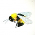 Strong colorful flying bee tattoo design