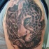 stupendo naturale dettagliato animale leopardo tatuaggio su spalla