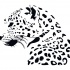 Super black-and-white leopard in profile tattoo design by The Halfinger