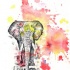 Super grey elephant on yellow-and-red watercolor background tattoo design