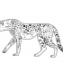 Super outline stealing cheetah figure tattoo design
