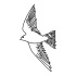 Super white peace dove tattoo design