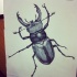 Superb harsh black-ink bug with strong horns tattoo design