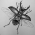 Sweet black dotwork style bug tattoo design