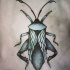 Sweet blue dotwork bug tattoo design