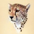 Sweet brown-eyed cheetah baby portrait tattoo design