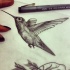 Sweet dotwork flying bird tattoo design