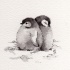 Sweet just hatched penguin couple tattoo design
