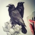 Sweet raven couple sitting on white flowers tattoo design
