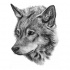 Sweet realistic drawn wolf head design