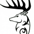 Sweet tribal deer head in profile tattoo design