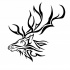 Sweet tribal deer head in profile tattoo design by Dynasthai