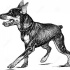 Sweet walking puppy doberman tattoo design