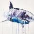 Swimming shark in blue watercolor smudges tattoo design