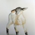 Tender little watercolor sheep tattoo design