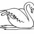 Tender swan without coloring tattoo design