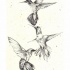 Three black-and-white hummingbird flock tattoo design