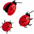 Three cute colorful ladybug tattoo designs