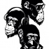 Three fabled black-ink chimpanzee heads tattoo design by Takihisa