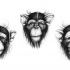 Three fabled chimpanzee with sewed up eyes and mouth tattoo design