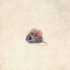 Tiny grey mouse with huge rosy ears tattoo design