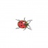 Tiny hurried ladybug tattoo design