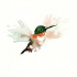 Tiny pale-winged watercolor hummingbird tattoo design