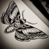 Traditional black dead head moth tattoo design