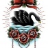 Traditional black swan with red laced roses and bow tattoo design